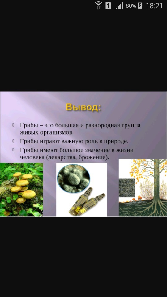 answer img