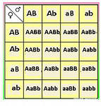 answer img