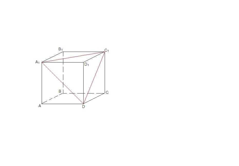 answer img