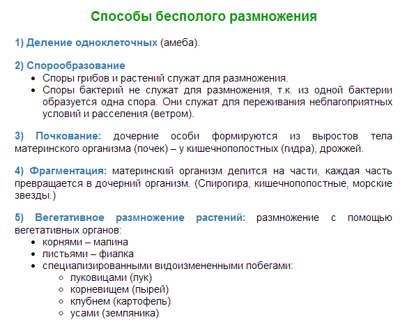 answer img