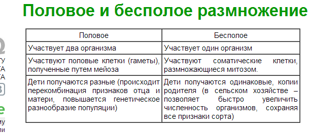answer img
