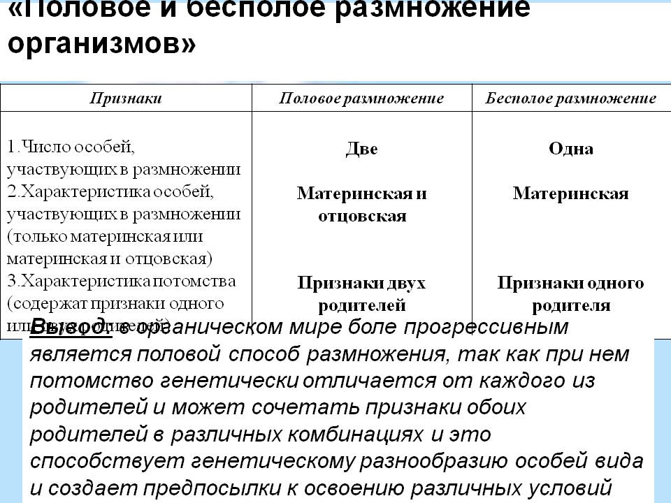answer img