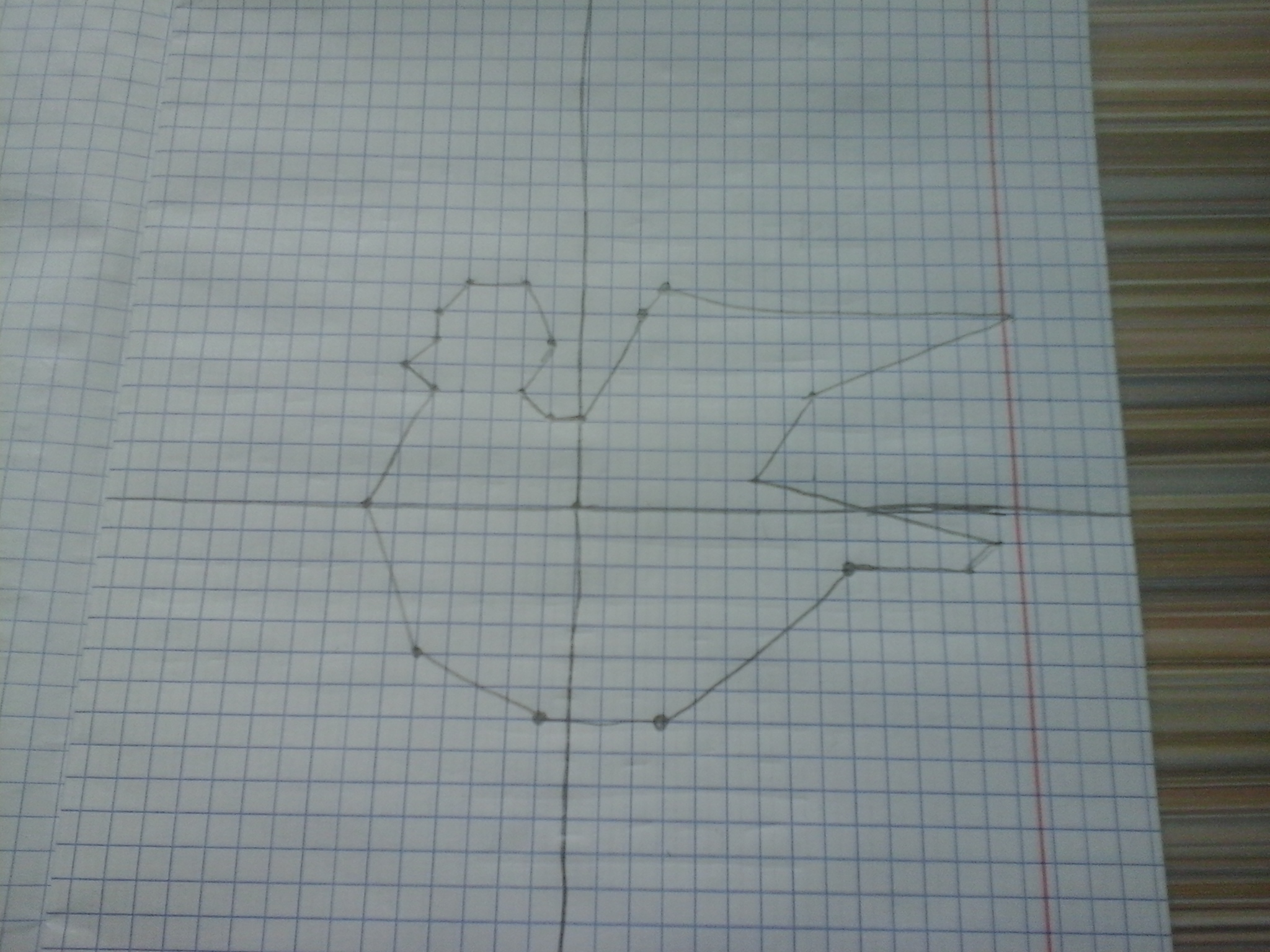 answer img