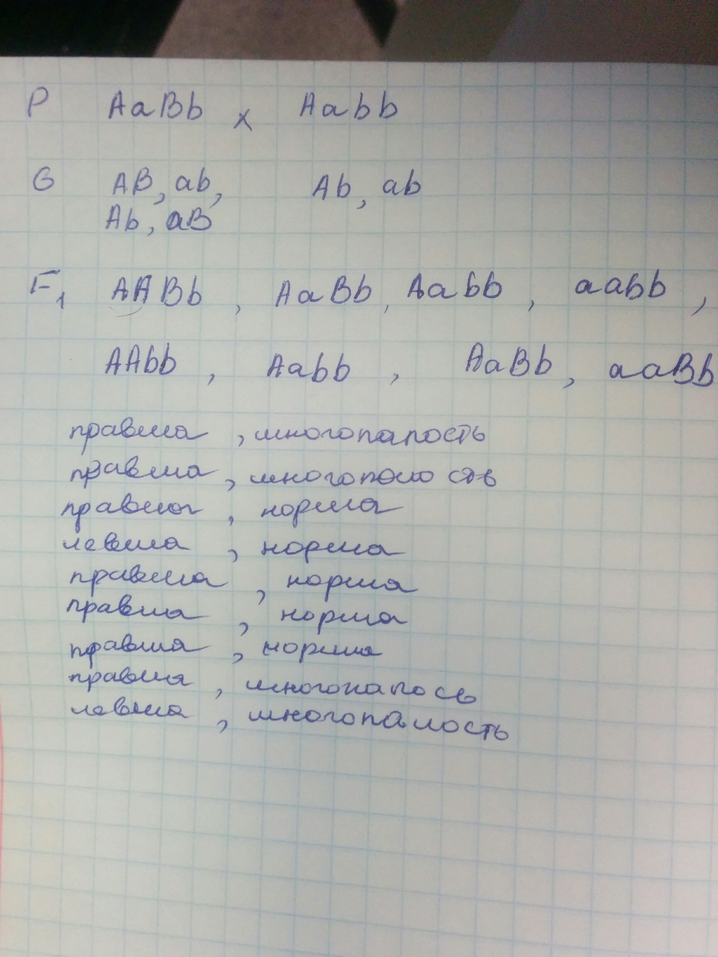 answer img