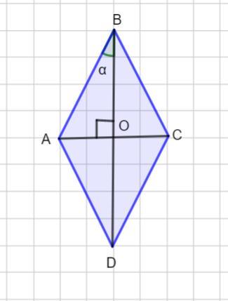 answer img