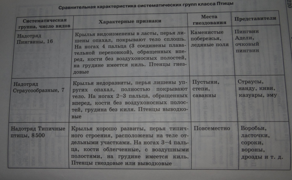 answer img