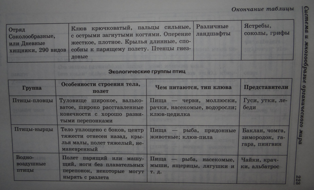 answer img
