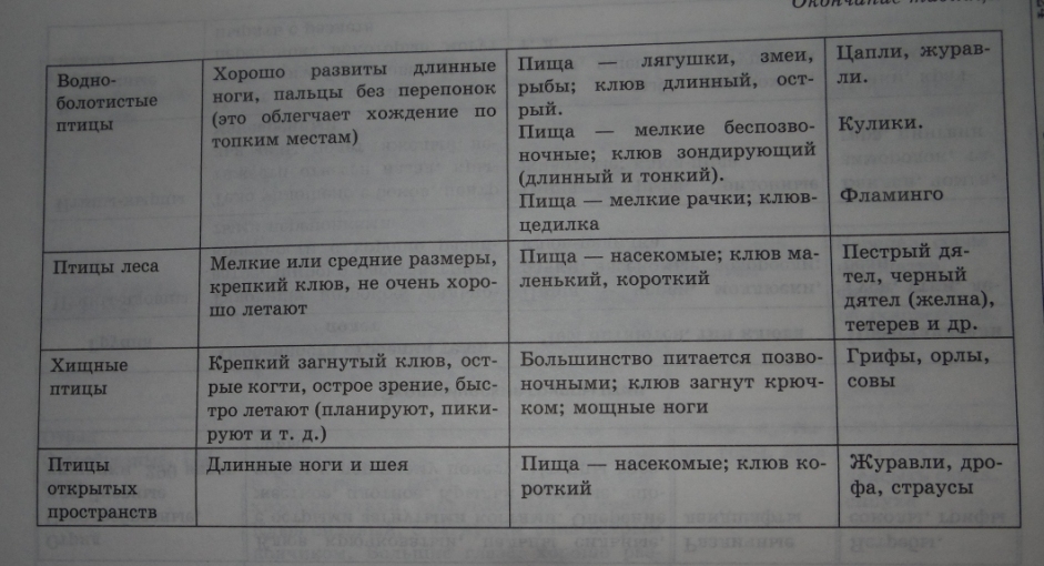 answer img