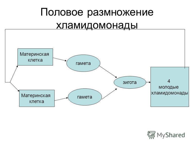 answer img