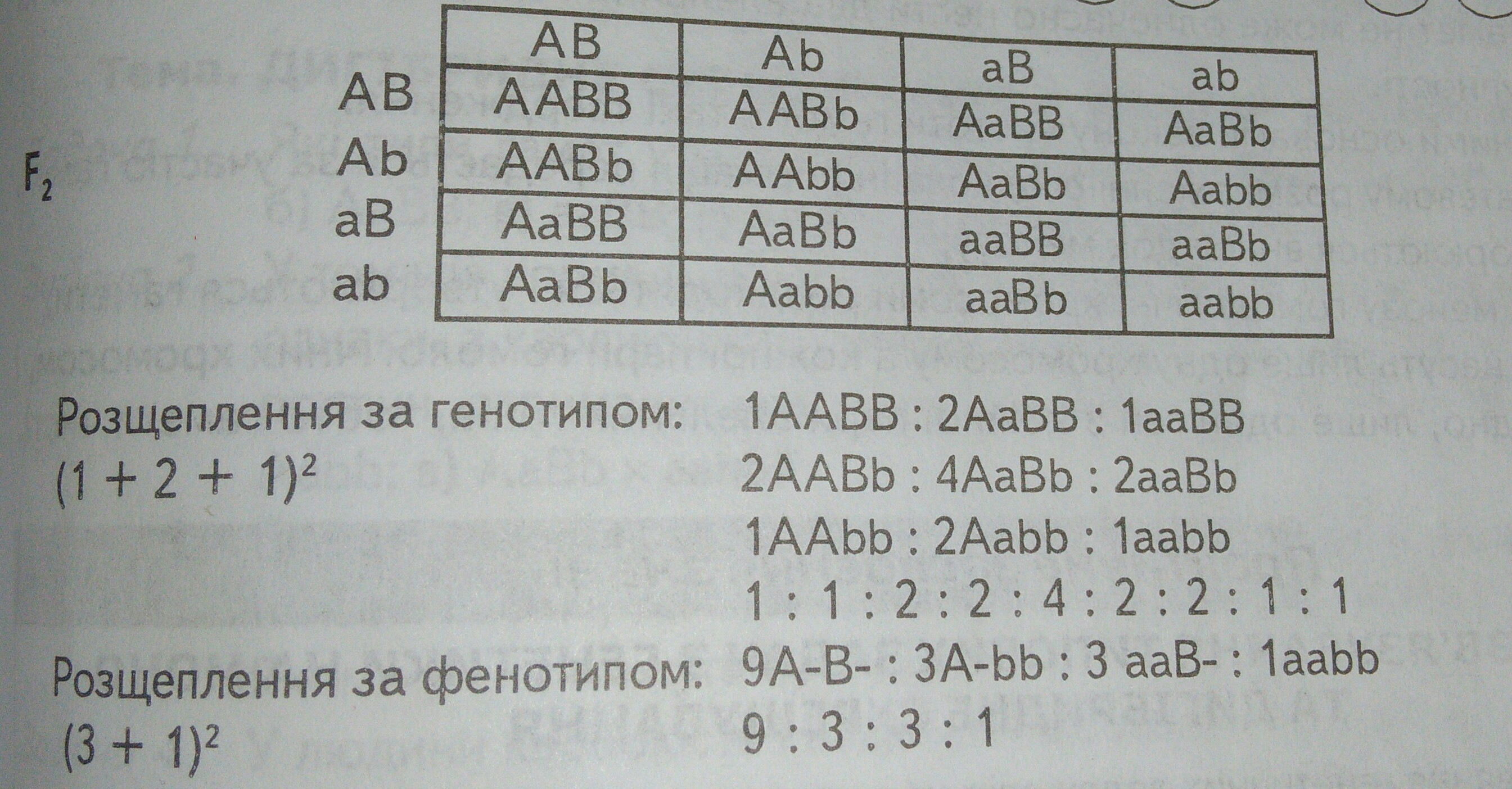 answer img