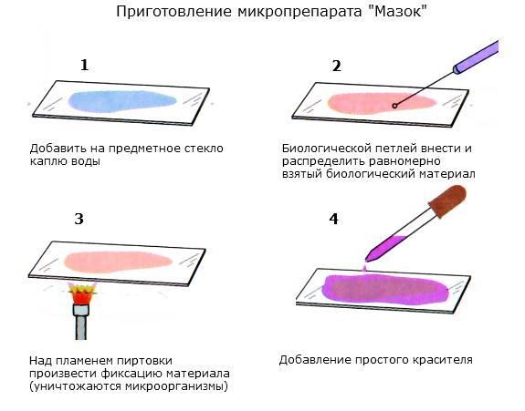 answer img