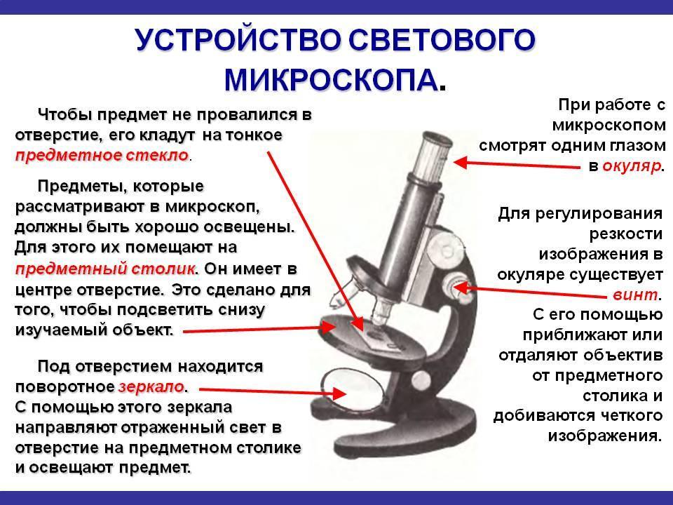 answer img