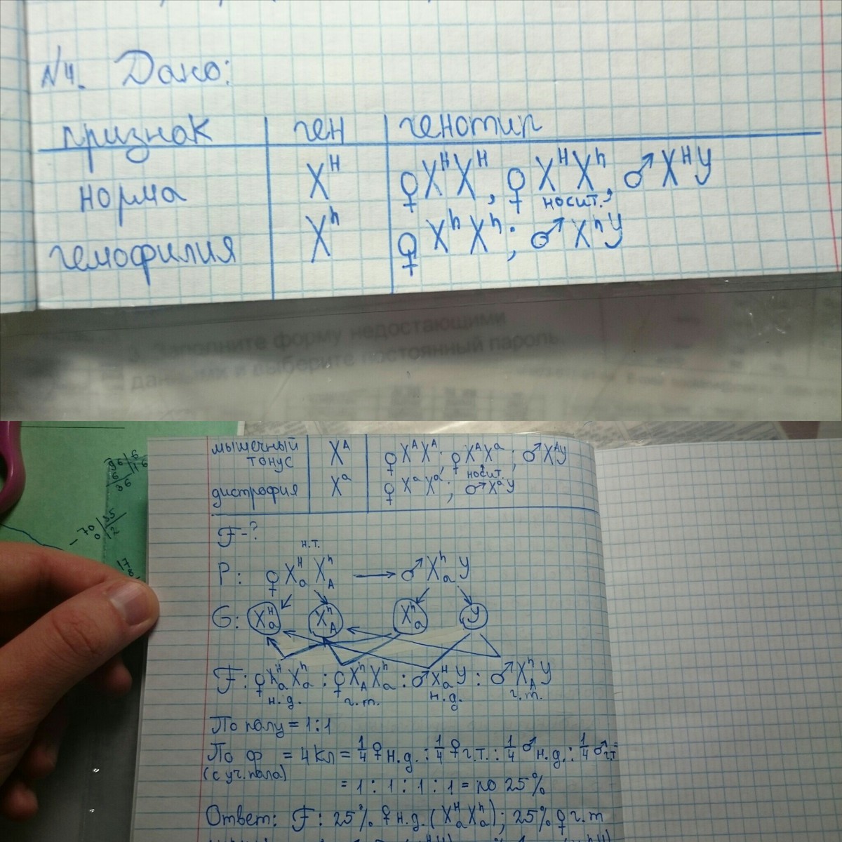 answer img