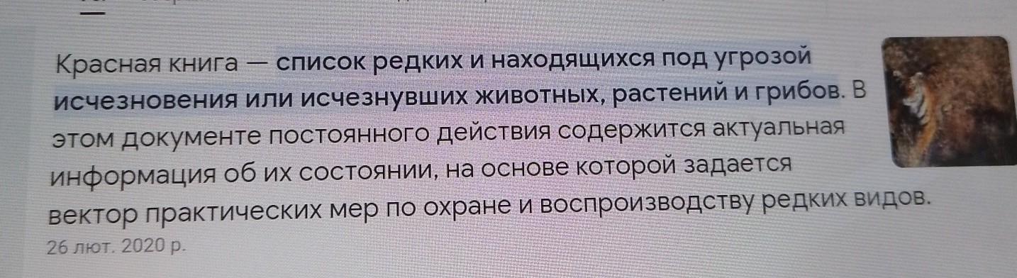 answer img