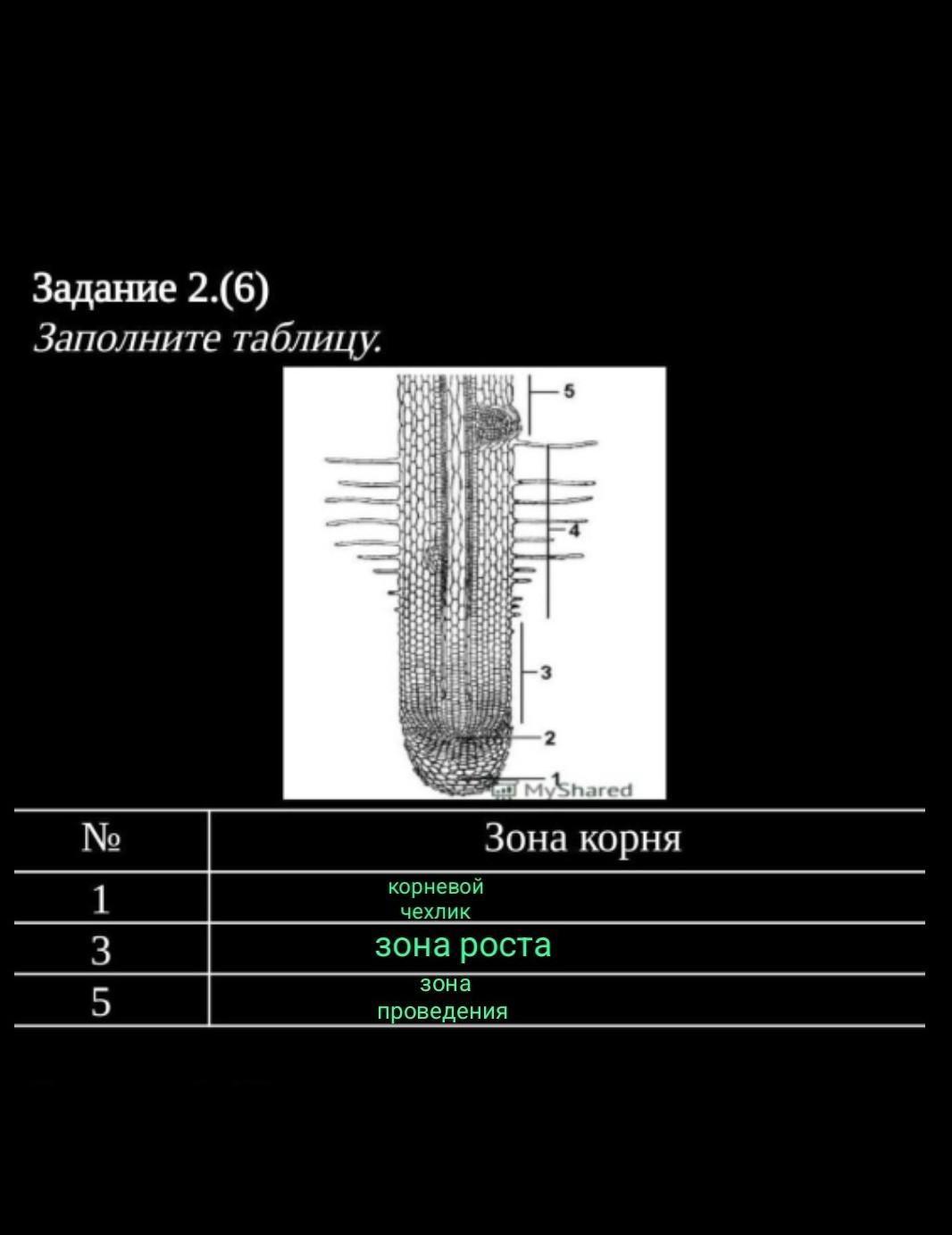 answer img