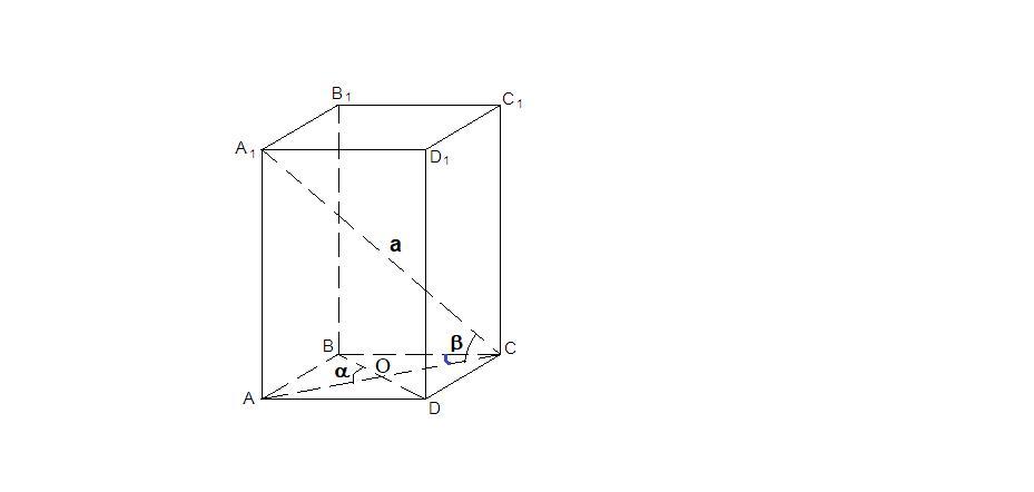 answer img