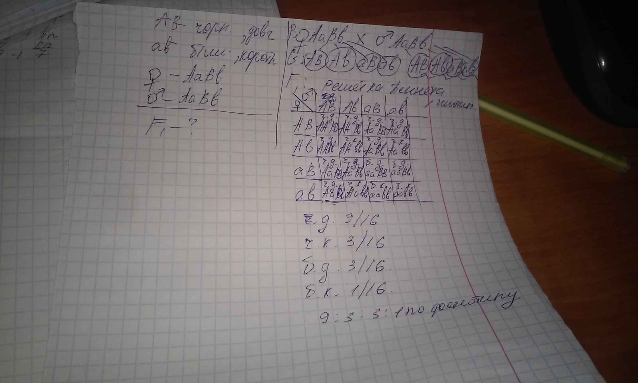 answer img