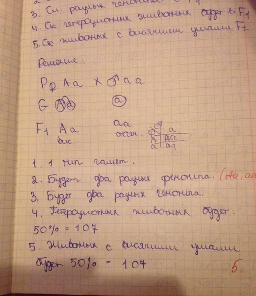 answer img