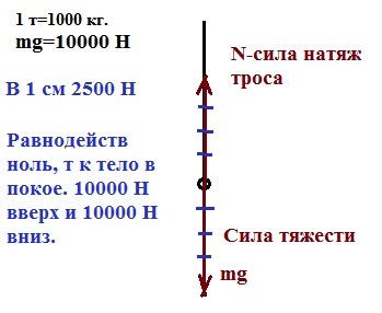 answer img