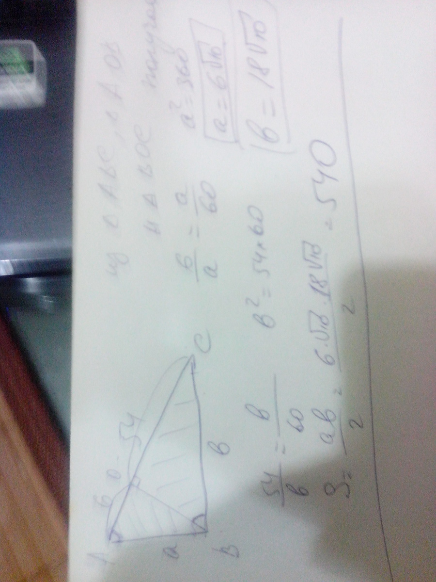 answer img