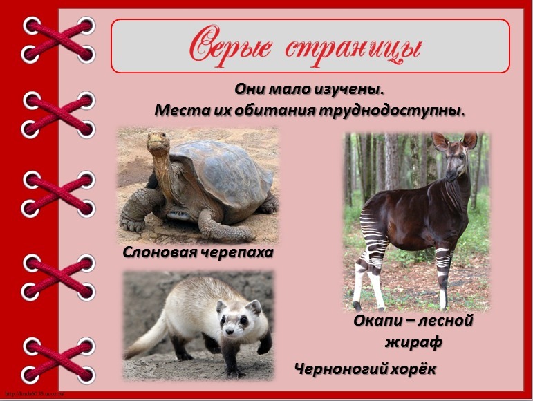 answer img