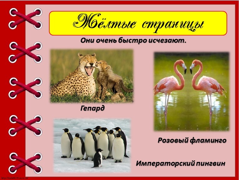 answer img