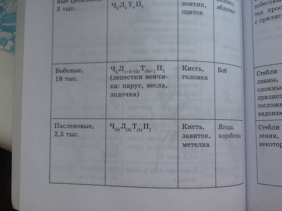 answer img