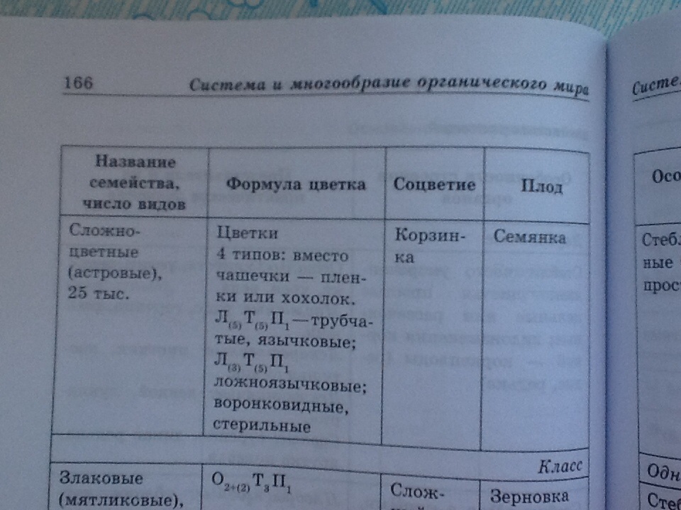 answer img