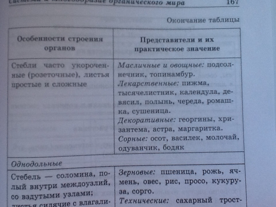 answer img