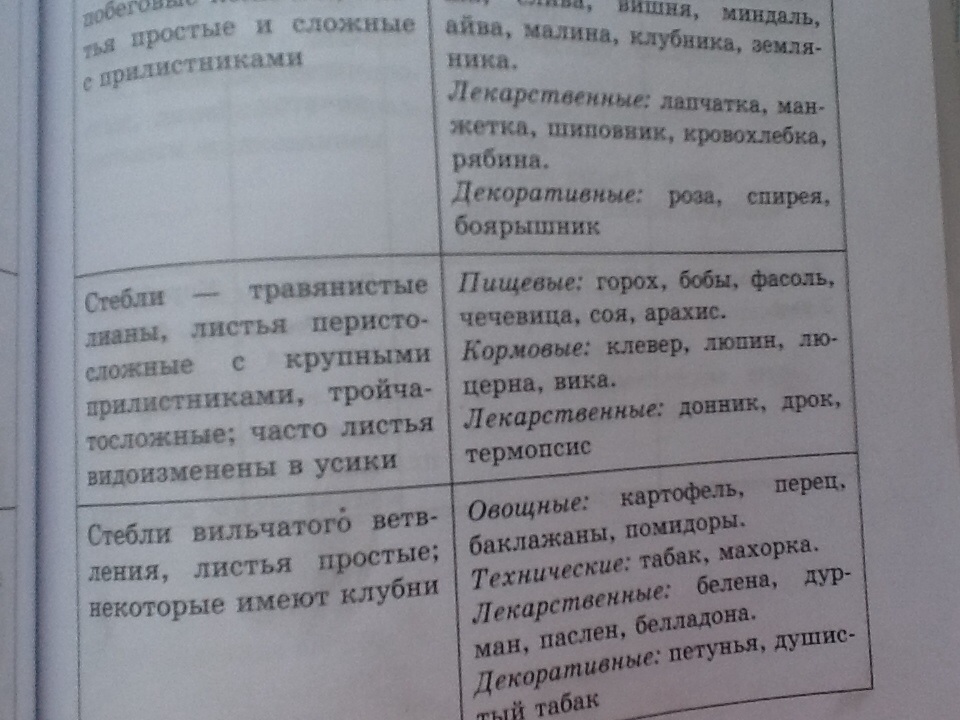 answer img
