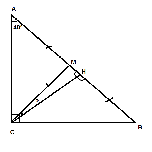 answer img