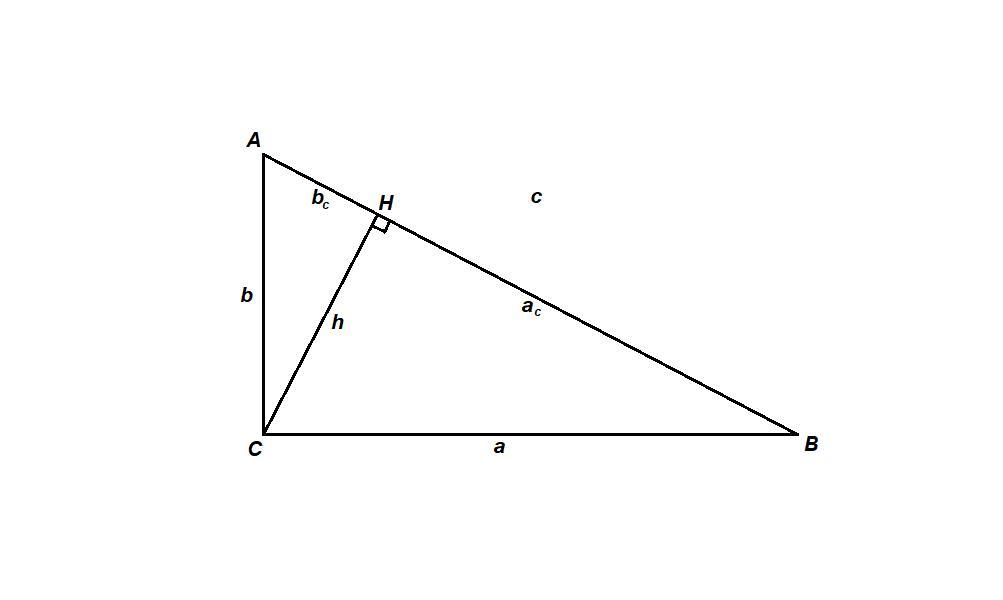 answer img