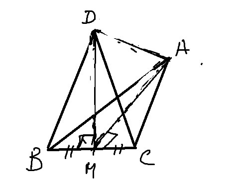 answer img
