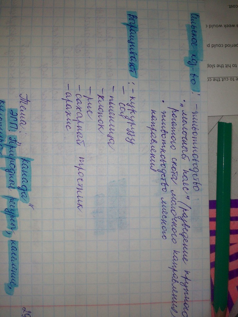 answer img
