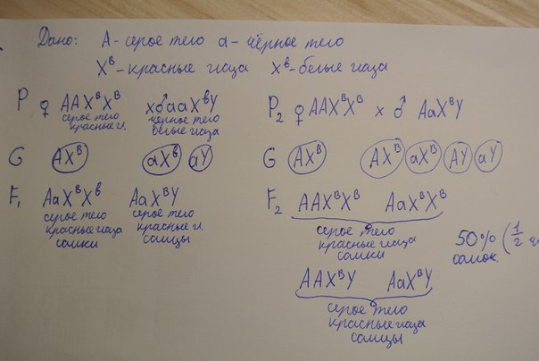 answer img