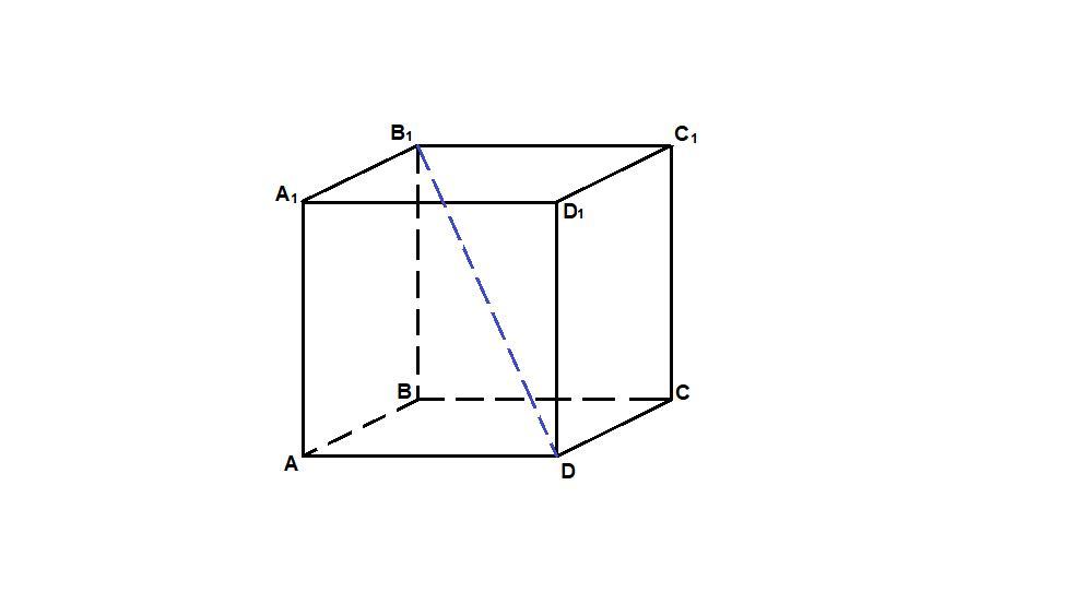 answer img