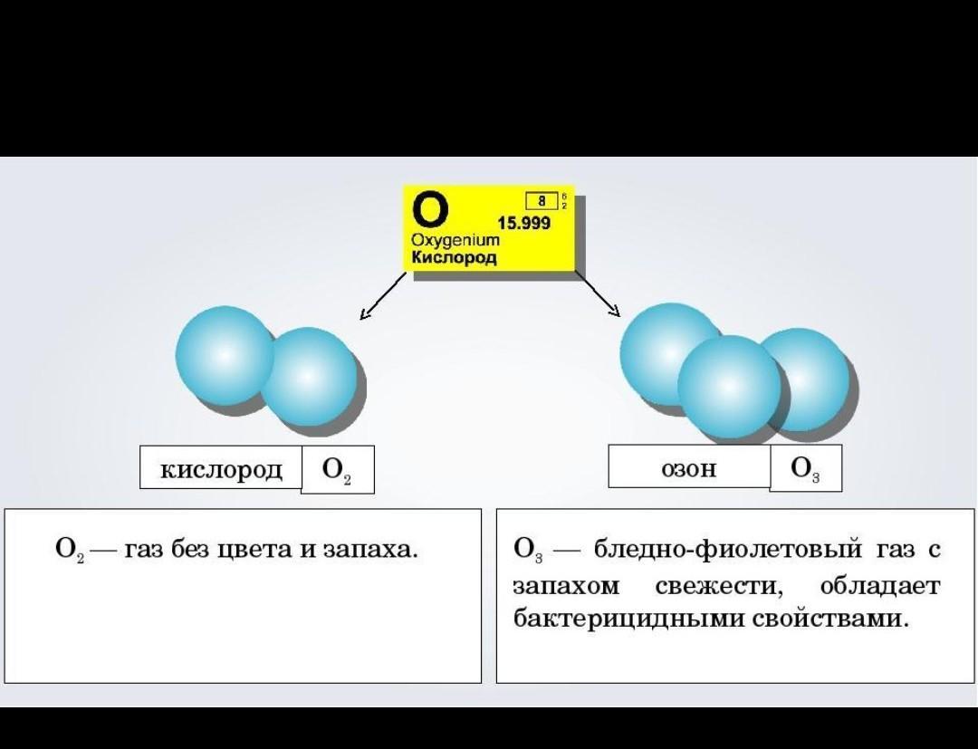 answer img
