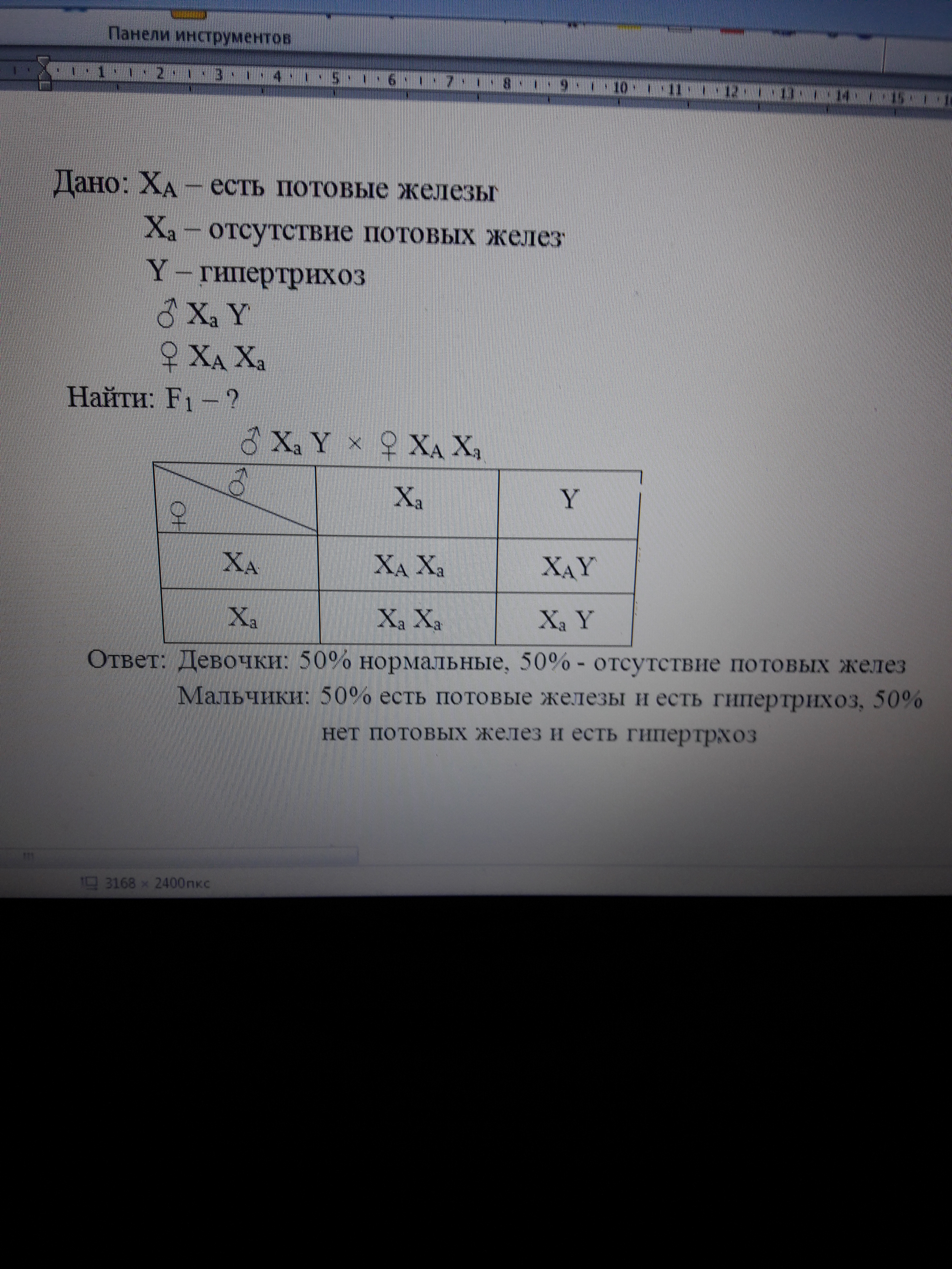 answer img