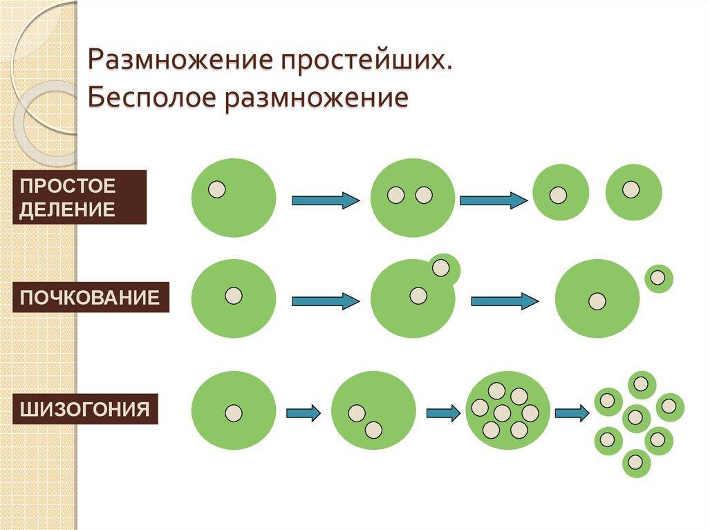 answer img