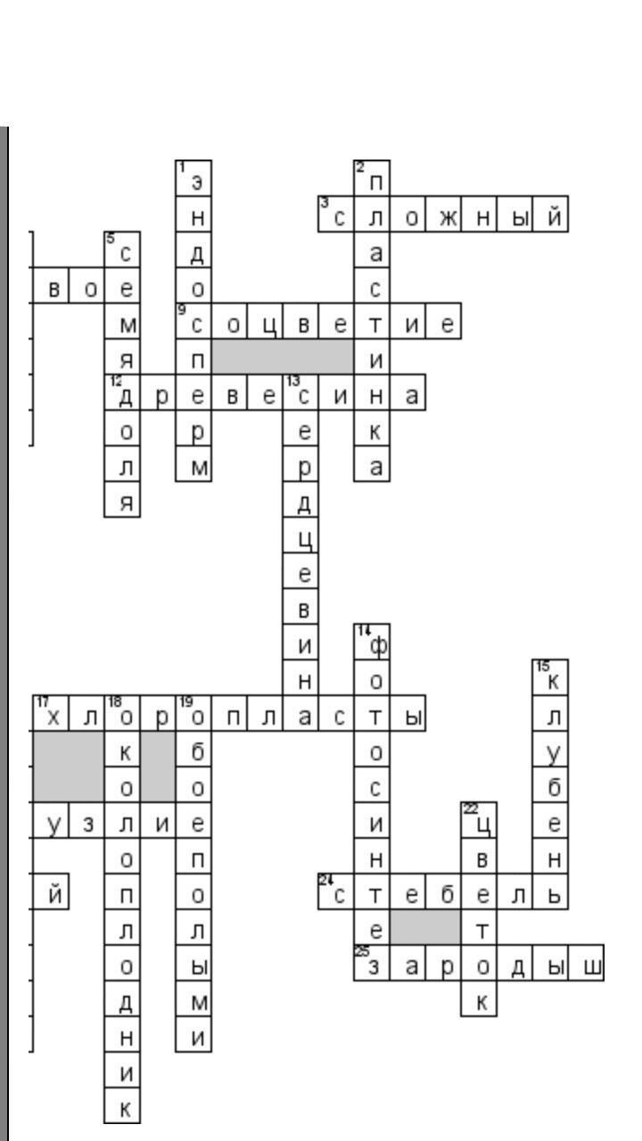 answer img