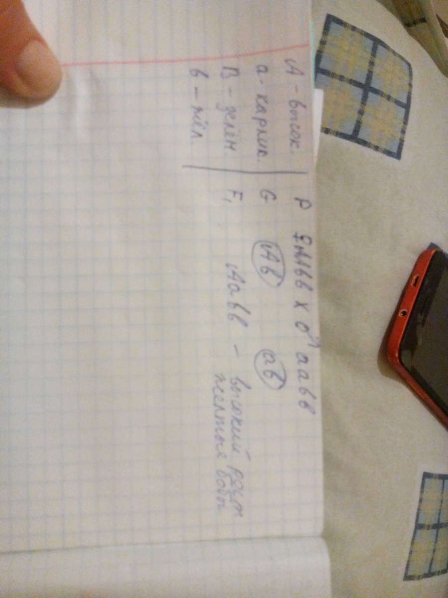 answer img