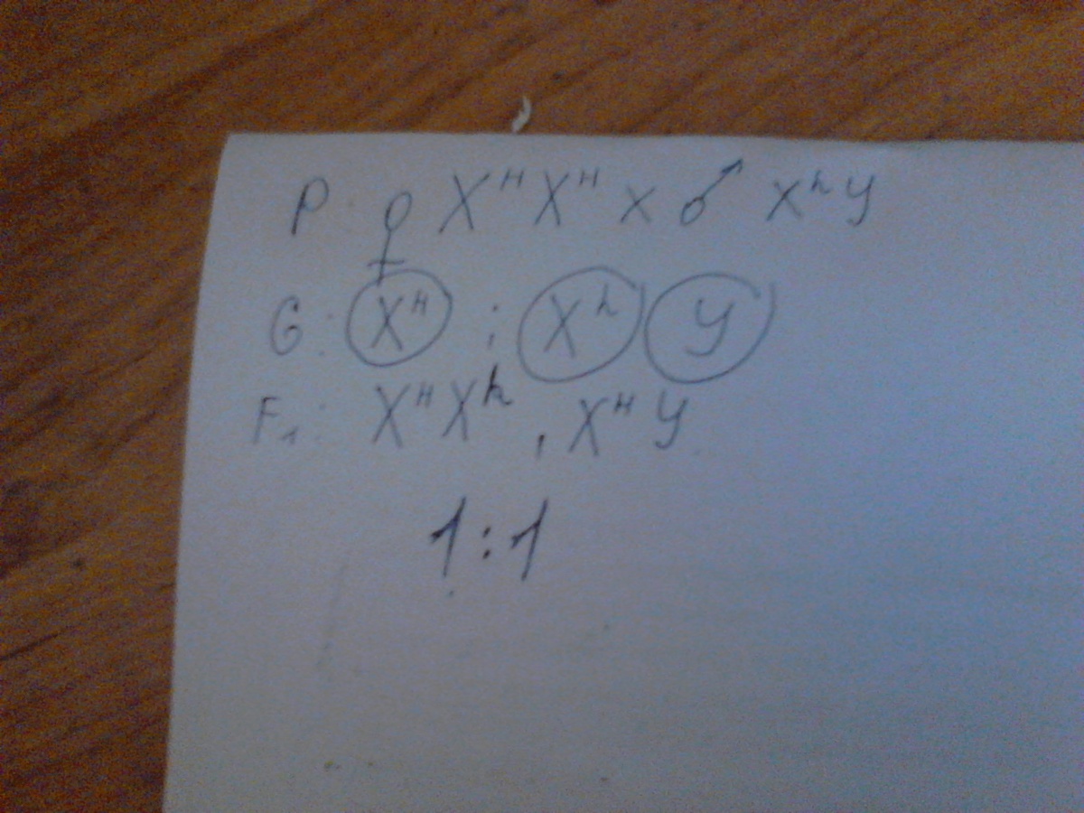 answer img