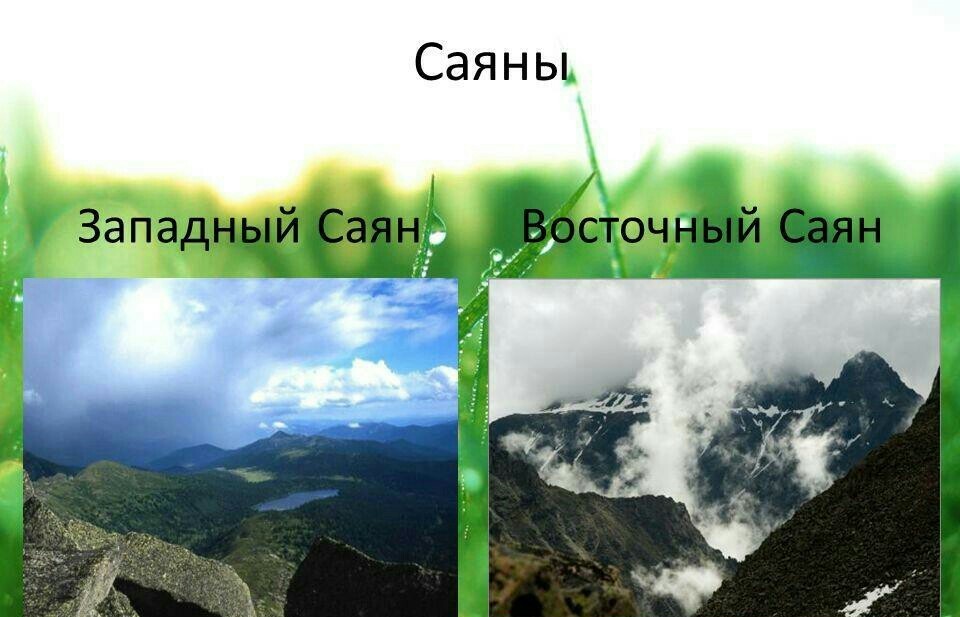 answer img