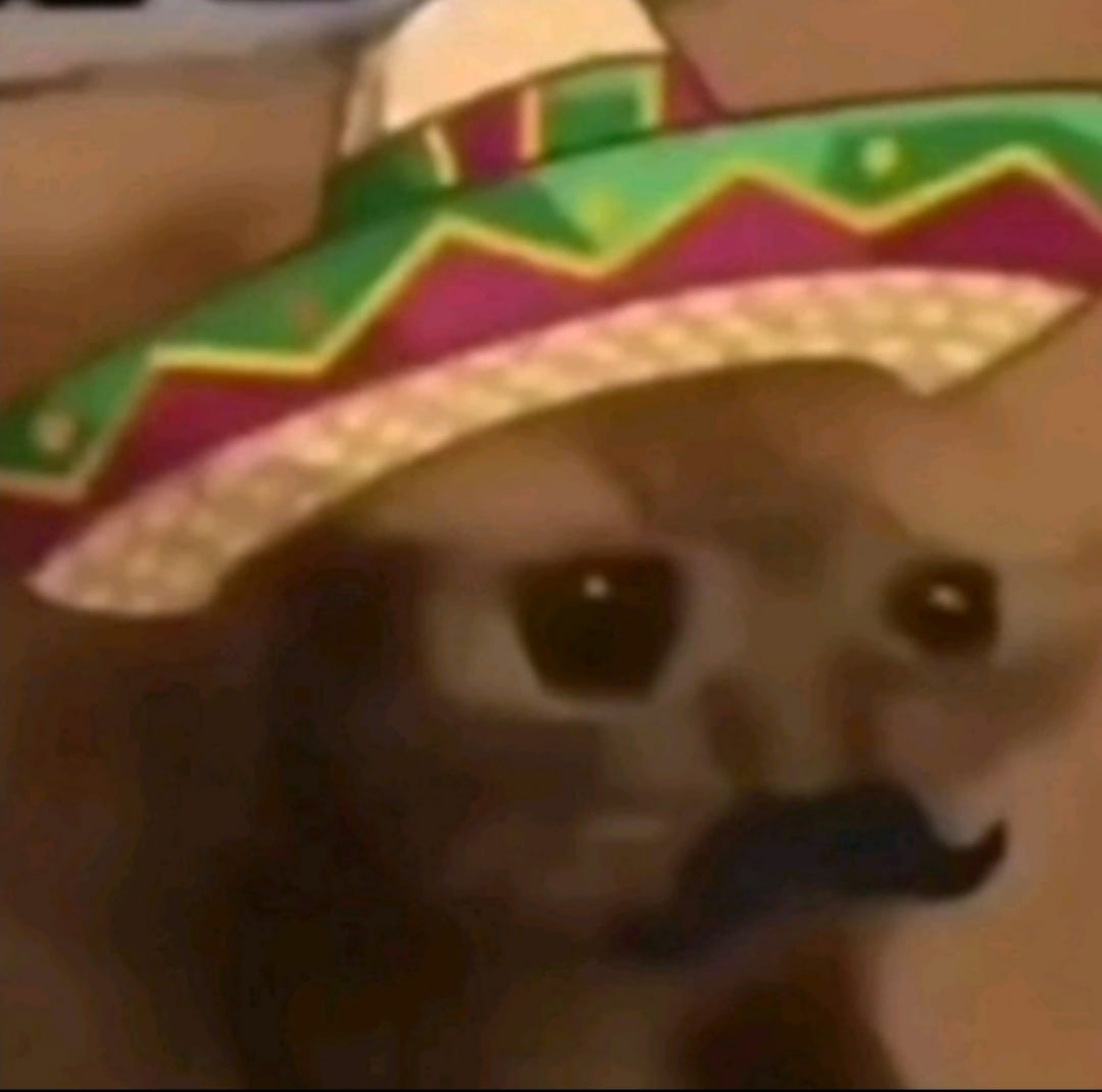 Хитрый кот в мексике живет. Кот в мексиканской шляпе. Кот мексиканец в шляпе. Кот в мексиканской шляпе Кринге. Кот в мексиканской шляпе Мем.