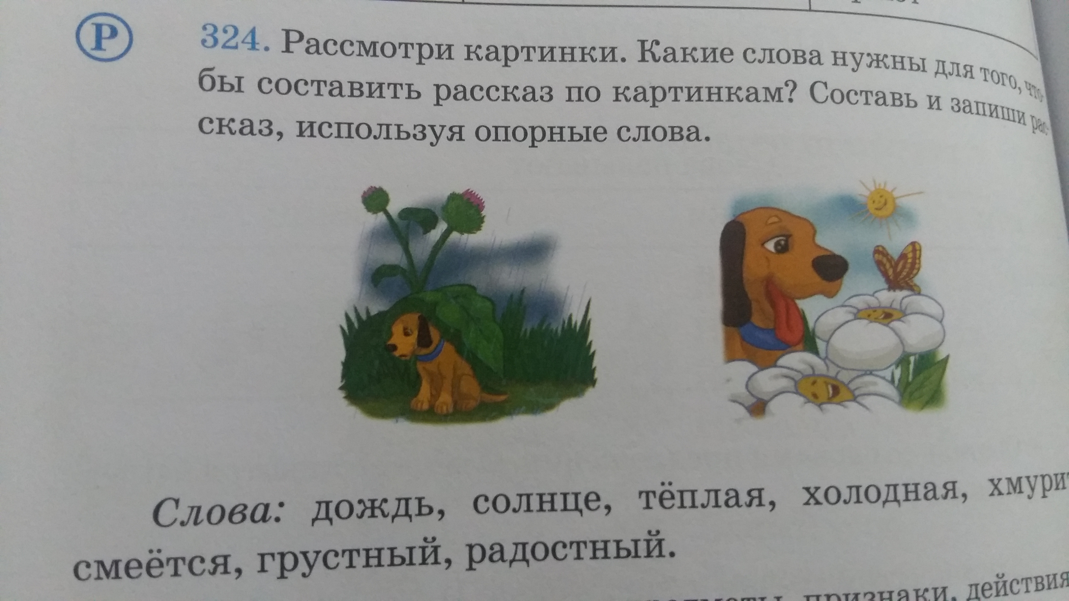 question img