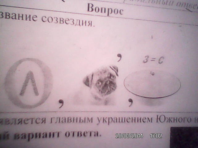question img