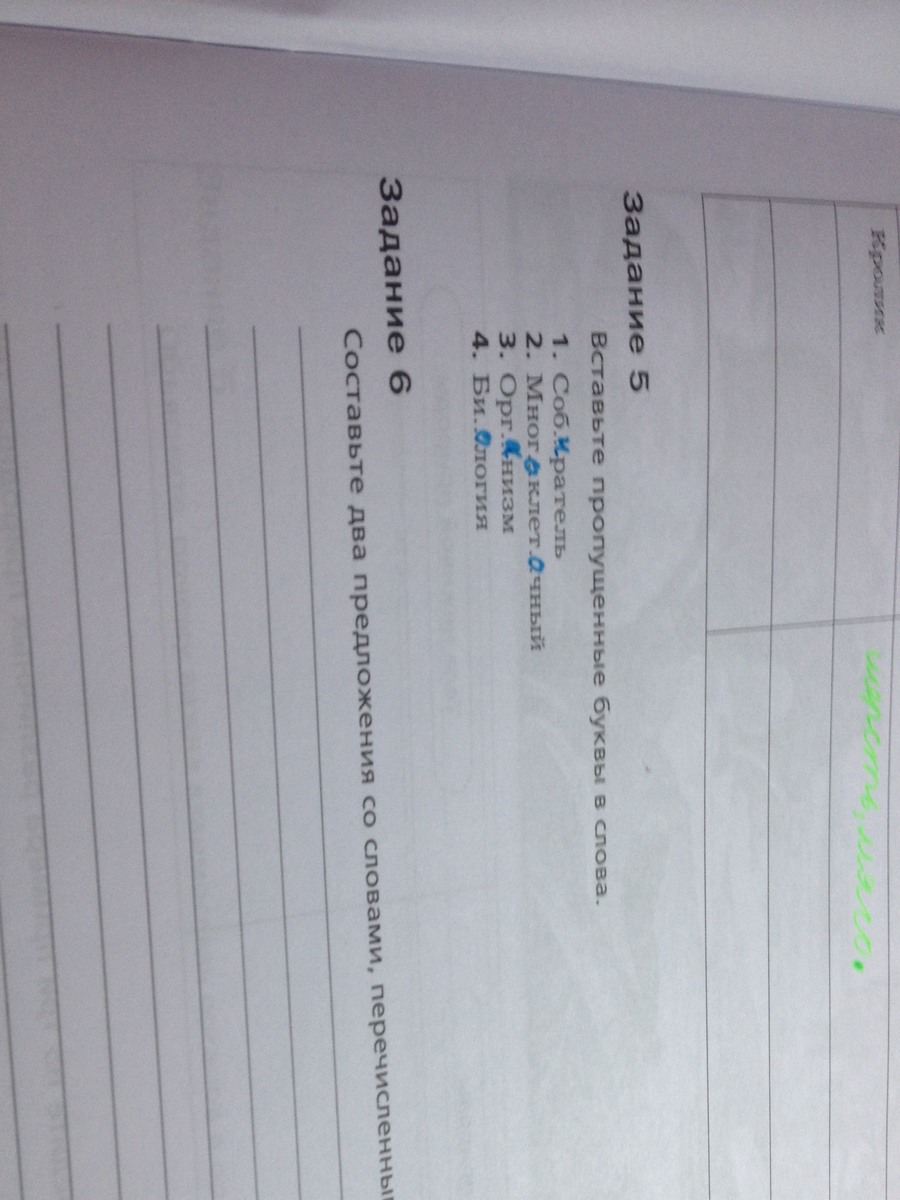 question img