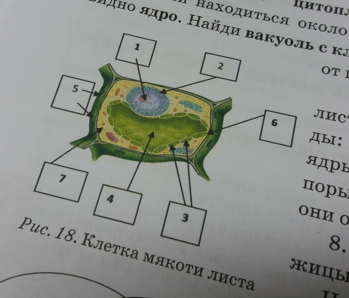 question img