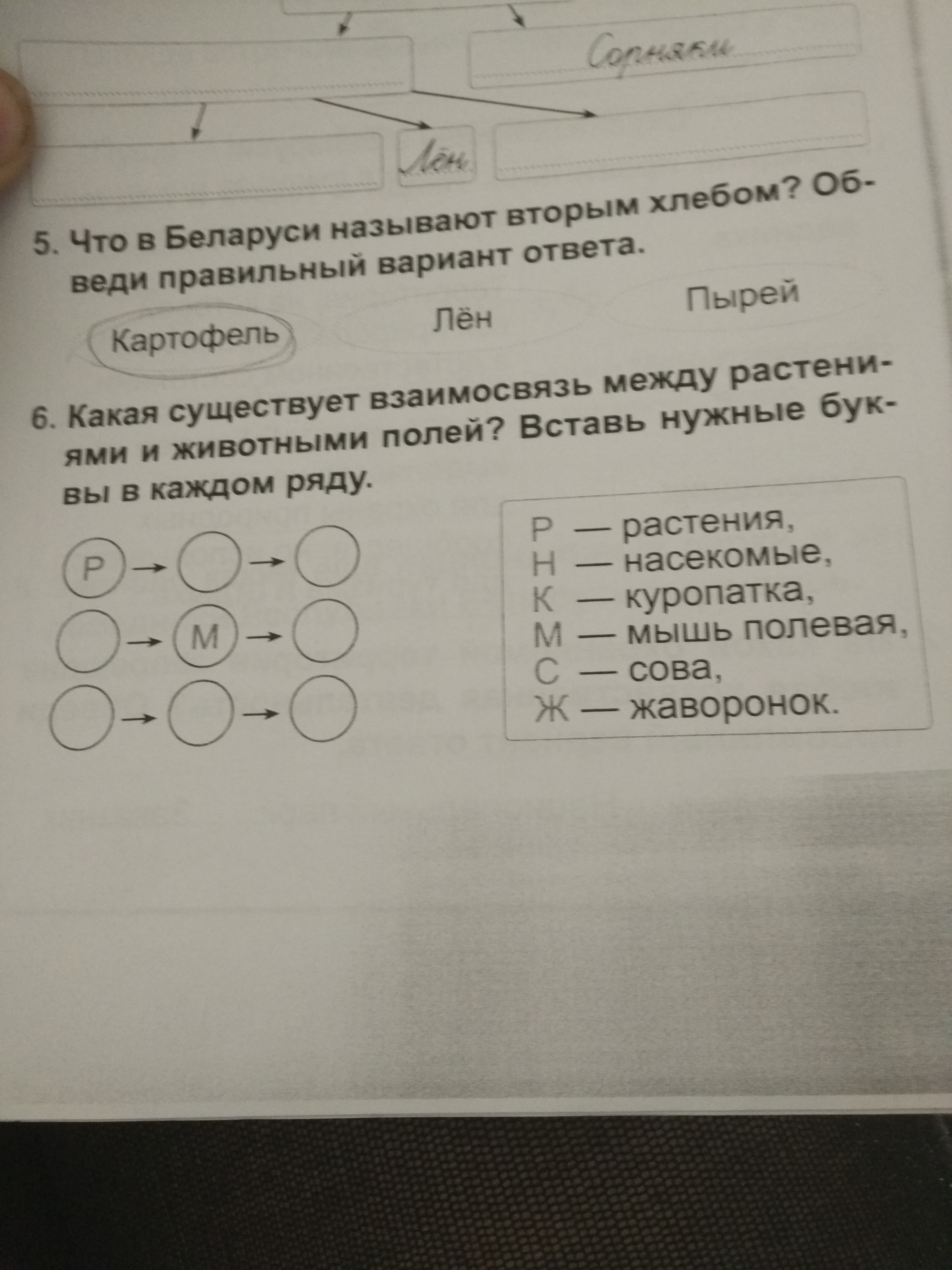 question img