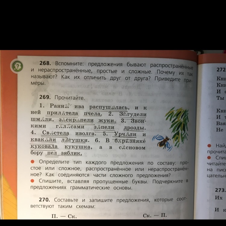 question img